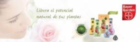 Productos Bayer  BAYER