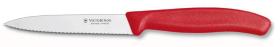COMERCIAL MUELA 67731 - CUCHILLO PARA LEGUMBRES CON SIERRA, ROJO