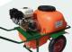 VILAG 1032RNP4633 - CARRETILLA 103 LTS. 2R GRUPO NP-4633 BOMBA PISTON